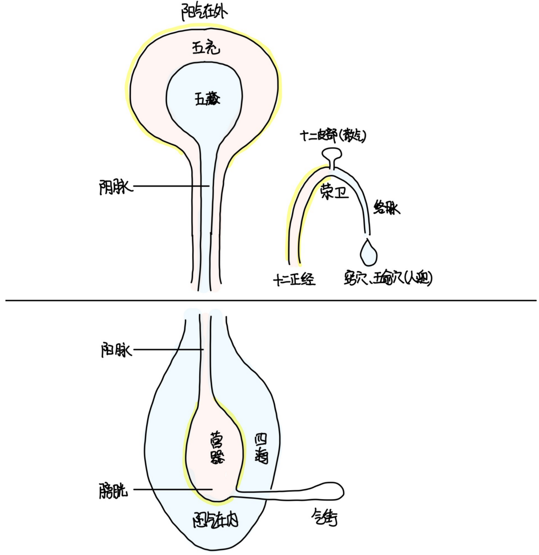 图片[4]-13窍穴与四海-善米