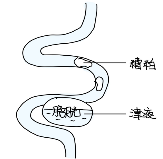 图片[4]-8五藏之中-善米