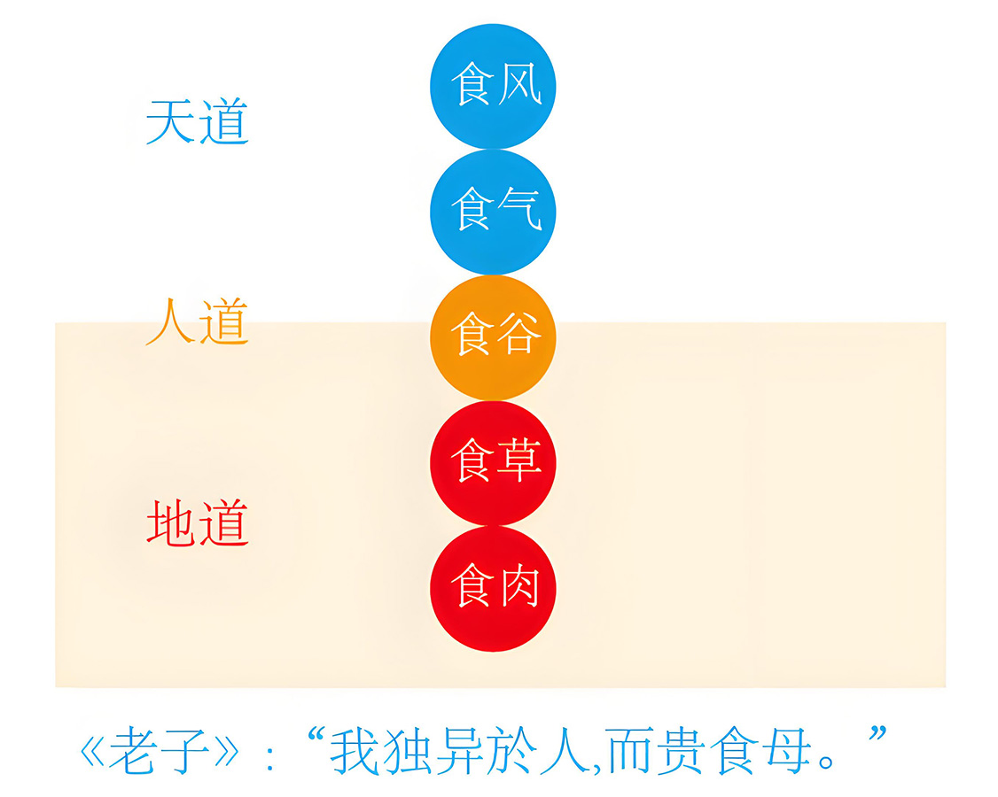 图片[1]-8草木之精3（食）-善米